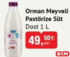 DOST ORMAN MEYVELİ PASTÖRİZE SÜT 1 L fiyat ve kampanya bilgisi